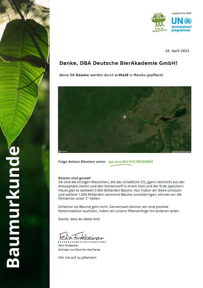 Aufforstung mit Plant-for-the-Planet – unsere Bäume in Campeche, Mexiko