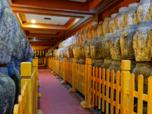 Im Keller von Reisweinmeister Guanxian Wang